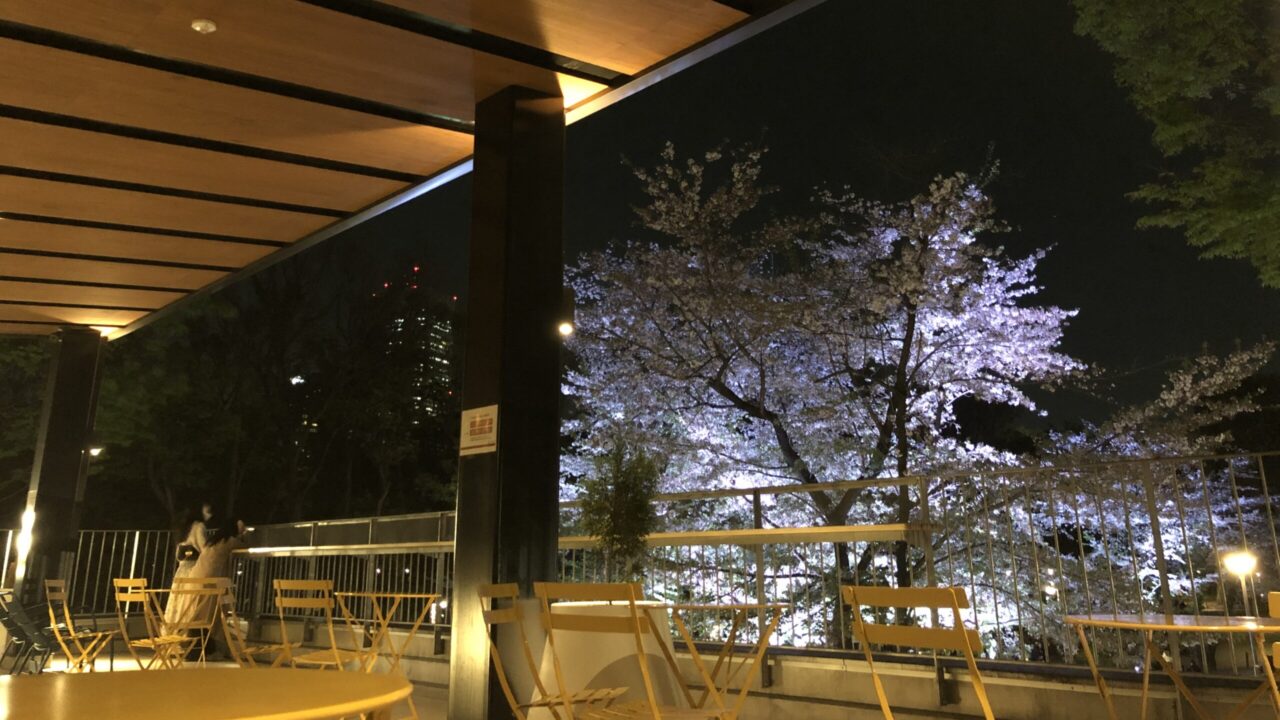 新宿中央公園、夜桜
