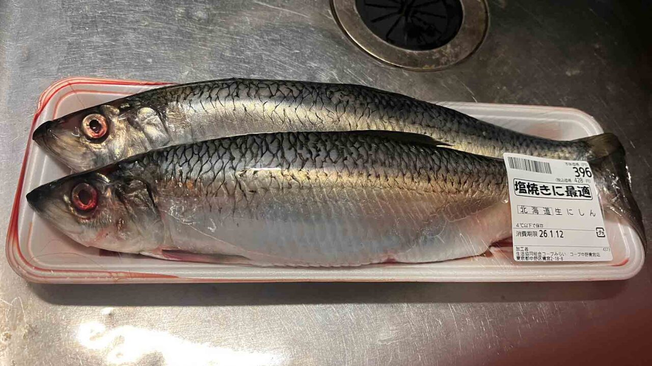 にしん｜Ghichi.com